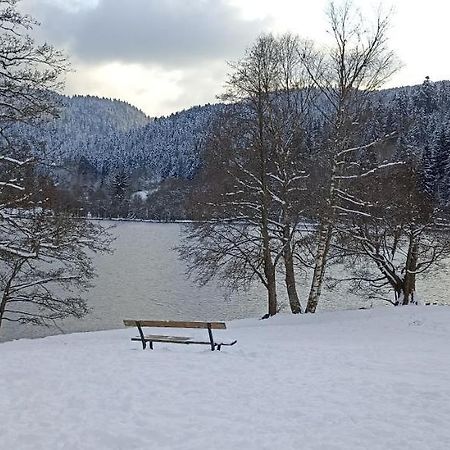 Апартаменты A 2 Pas Du Lac Ксорюпт-Лонжме Экстерьер фото