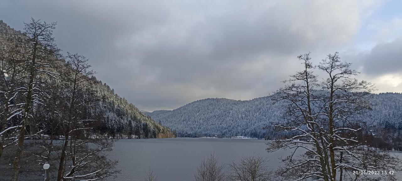 Апартаменты A 2 Pas Du Lac Ксорюпт-Лонжме Экстерьер фото