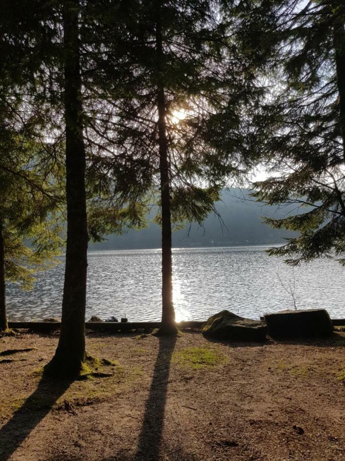Апартаменты A 2 Pas Du Lac Ксорюпт-Лонжме Экстерьер фото